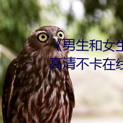 《男生和女生一起差差的輪滑鞋》高清不卡在線觀看