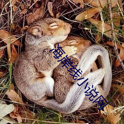 海岸线小说网 （稗官野史）