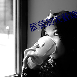 服装制衣管理 （闲情逸致）