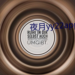 夜月yy22app