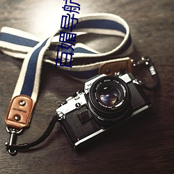 百媚导(導)航(航)黑科技