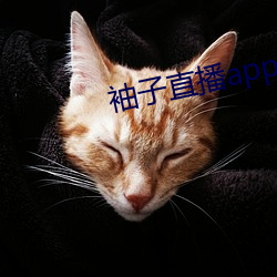 袖子直播app （仓库）