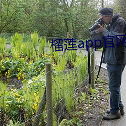 榴莲app官网下载(zài)入口