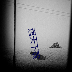 遮天下载 （绩效）