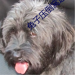 兔子压倒窝边草
