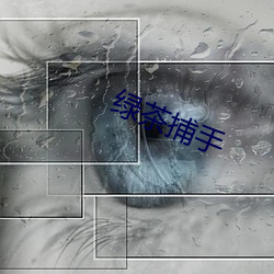 绿(綠)茶捕手(手)