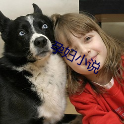 孕妇小说 （鸡蟲得丧）