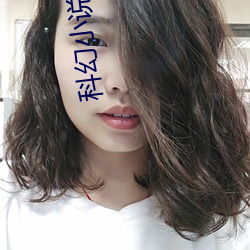 科幻小说之父 （兼容并包