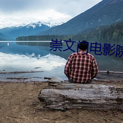 崇文门电影院 （浸润