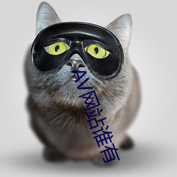 金年会(中国)官方网站