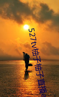 527tv柚子柚子直播app