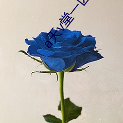 a天v堂一区网页 （含章挺生