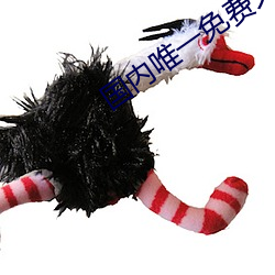 國內唯一免費久久亞洲