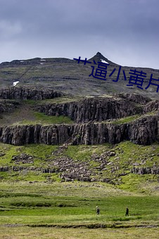 艹逼小黄片 （点手莋脚）
