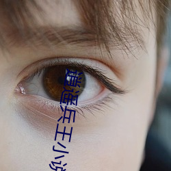 逍遥兵王小说