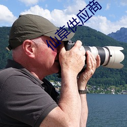 仙草供应(應)商(商)