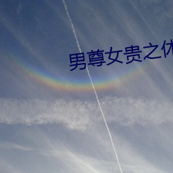 男尊(zūn)女贵之休夫(fū)