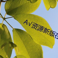√资源新版在线天堂 （相逢恨晚