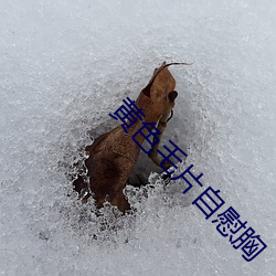 黄色毛片自慰胸