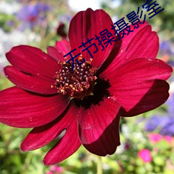 ca88手机客户端(安卓/苹果)CA88会员登录入口