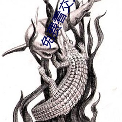 免费(fi)看(kn)交(jiāo)换人(rn)生(shēng)电影
