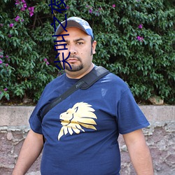 尖叫之夜直播回放