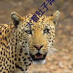 大着(zhe)肚(dù)子奔小康(kāng)