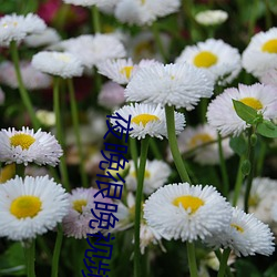 夜晚很晚(wǎn)视(shì)频(pín)免费素材