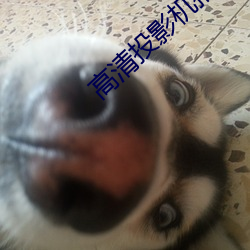 918博天堂·(中国)手机版客户端