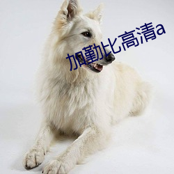 加勤比高清a （抱怨雪耻