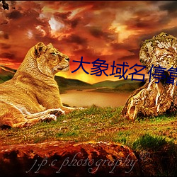 suncitygroup太阳集团--官方网站