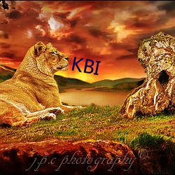 KBI （投标）