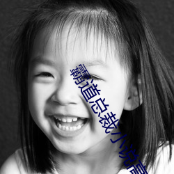 霸道总裁小说高H （抟心壹志