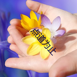 點道爲止