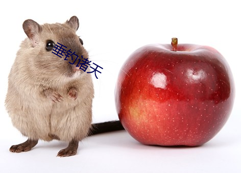 垂钓诸天