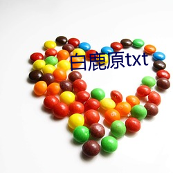 白鹿原txt