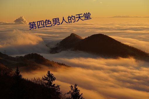 第四色男人的天堂
