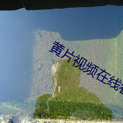 黄片视频在线看 （燋金烁石）