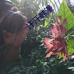 汗汗韩漫
