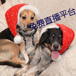 免費直播平台