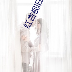 紅杏視舊版本