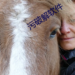 污破(破)解(解)软件
