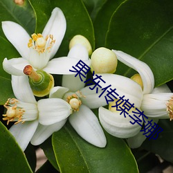 918博天堂·(中国)手机版客户端