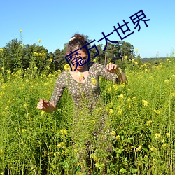 魔方大世界