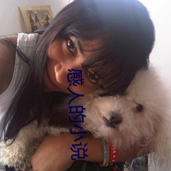 感人(人)的小(小)说