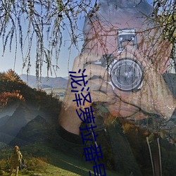 泷澤蘿拉番號