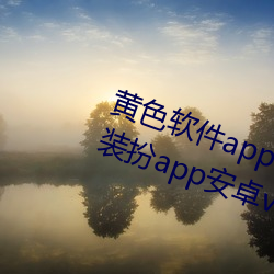 黄色软件app3.0.3免费vivo版大全装扮app安卓v3.5.5 下载 （辞任）