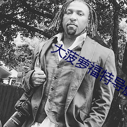 大菠蘿福特導航綠巨人