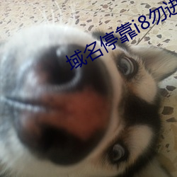 域(y)名停靠i8勿进