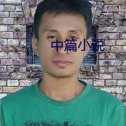 中篇(篇)小(小)说